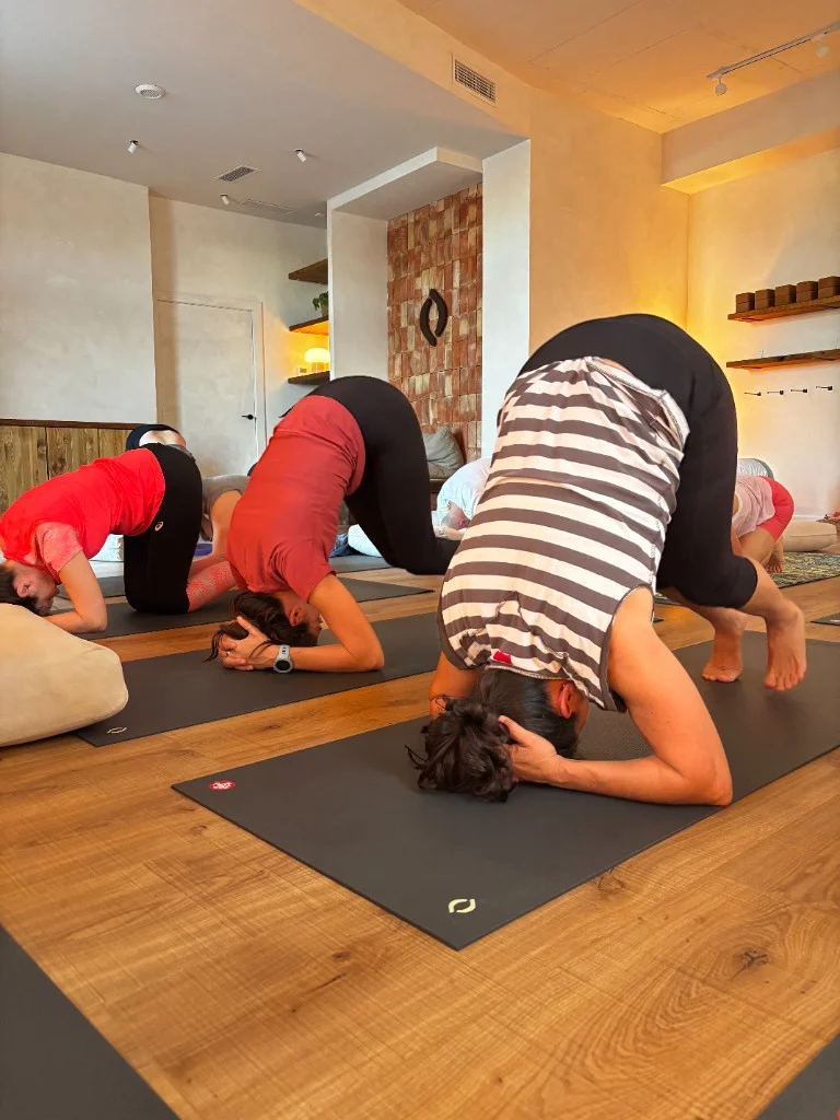 Group yoga class practicing inversion prep in the studio